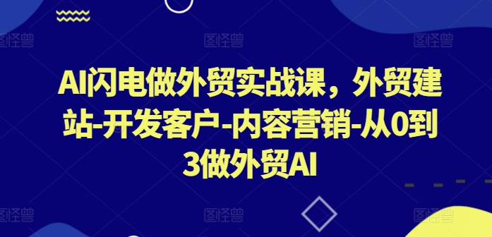 AI闪电做外贸实战课，​外贸建站-开发客户-内容营销-从0到3做外贸AI(更新)-财兔窝项目网