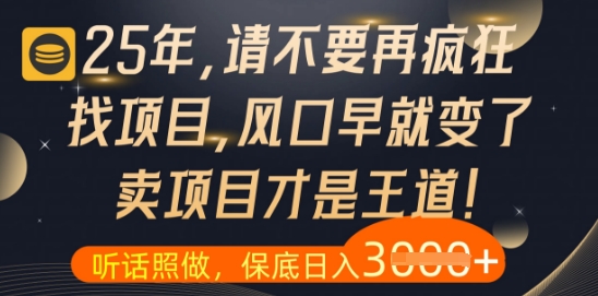 什么？25年你还在疯狂找项目做，醒醒吧，看完这些你全都懂了【揭秘】-财兔窝项目网