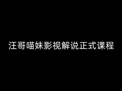 汪哥影视解说正式课程：剪映/PR教学/视解说剪辑5大黄金法则/全流程剪辑7把利器等等-财兔窝项目网