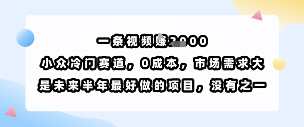一条视频挣1k，小众冷门赛道，0成本，市场需求大，是未来半年最好做的项目，没有之一-财兔窝项目网