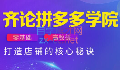 齐论拼多多vip课程-财兔窝项目网