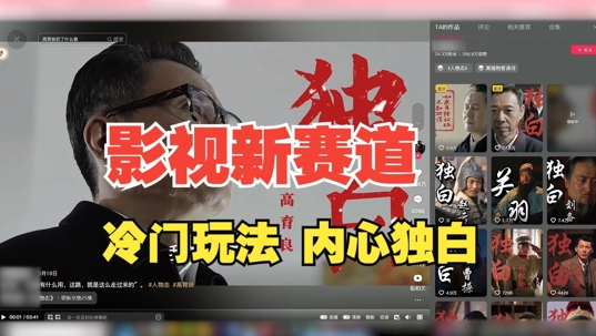 最新影视解说玩法，人物独白，30天涨粉24万+，全流程拆解【揭秘】-财兔窝项目网