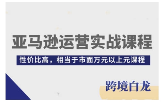 亚马逊运营实战课程，亚马逊从入门到精通，性价比高，相当于市面万元以上元课程-财兔窝项目网