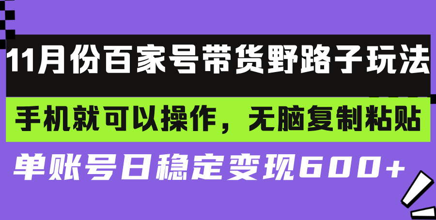 百家号带货野路子玩法 手机就可以操作，无脑复制粘贴 单账号日稳定变现…-财兔窝项目网