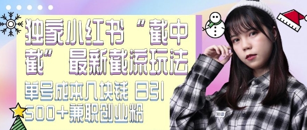最新小红书截流玩法 独家截中截 单号成本几块钱 日引500+CY粉JZ粉-财兔窝项目网