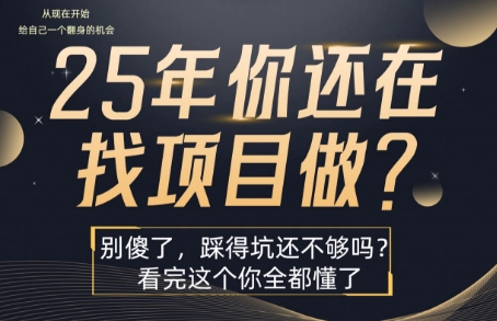 25年，你还在疯狂的找项目吗？别傻了，看完这个你都懂了【揭秘】-财兔窝项目网