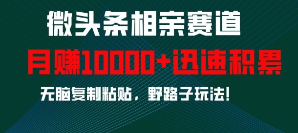 微头条相亲赛道，迅速积累，无脑复制粘贴，野路子玩法，月入1w-财兔窝项目网
