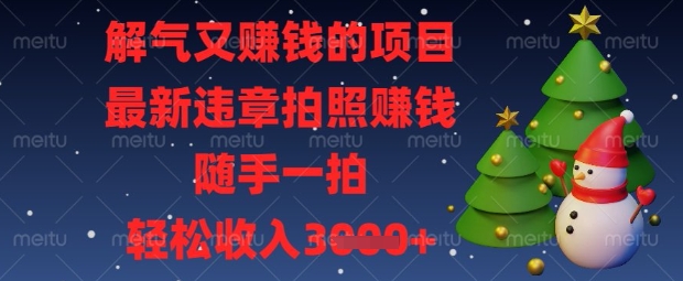 解气又挣钱的项目，最新违章拍照挣钱，随手一拍，轻松收入数张【揭秘】-财兔窝项目网