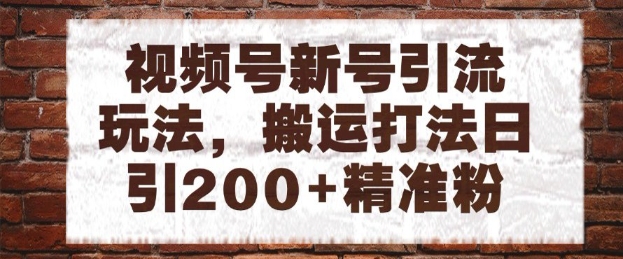 视频号新号引流玩法，搬运打法日引200+精准粉，可矩阵放大【揭秘】-财兔窝项目网