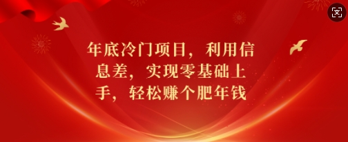 年底冷门项目，利用信息差，实现零基础上手，轻松赚个肥年钱【揭秘】-财兔窝项目网