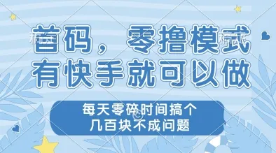 首码，零撸模式，有快手就可以做，每天零碎时间搞个几张不成问题【揭秘】-财兔窝项目网