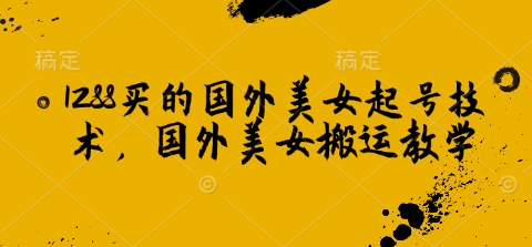 1288买的国外美女起号技术，国外美女搬运教学-财兔窝项目网