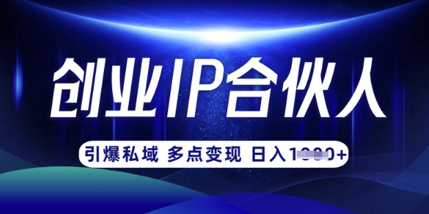 云帆·创业ip合伙人打造3.0，从0到1教你做网创，实现月入过W-财兔窝项目网
