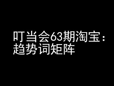 《淘宝天猫打爆班》原创高阶技术第63期，趋势词矩阵技术和玩法-财兔窝项目网
