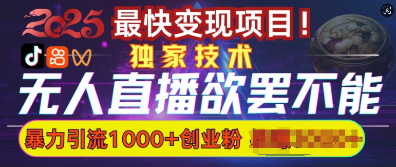 欲罢不能的无人直播引流，超暴力日引流1000+高质量精准创业粉-财兔窝项目网