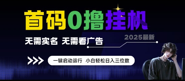 首码0撸挂G项目，无需实名无需看广告 一键启动运行，小白轻松日入三位数【揭秘】-财兔窝项目网
