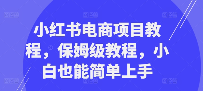 小红书电商项目教程，保姆级教程，小白也能简单上手-财兔窝项目网