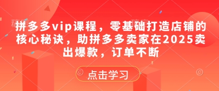拼多多vip课程，零基础打造店铺的核心秘诀，助拼多多卖家在2025卖出爆款，订单不断-财兔窝项目网