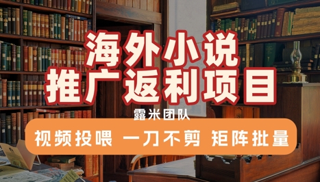 海外小说推广返利项目，视频投喂， 一刀不剪，矩阵批量-财兔窝项目网