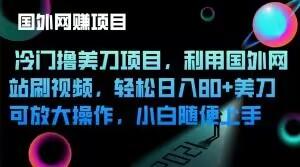 冷门撸美刀项目，利用国外网站刷视频，轻松日入80+美刀，可放大操作，小白随便上手-财兔窝项目网