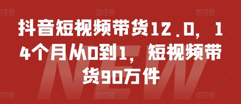 抖音短视频带货12.0，14个月从0到1，短视频带货90万件-财兔窝项目网