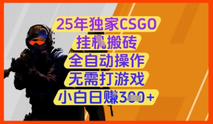 25年独家CSGO挂G搬砖，全自动操作，无需打游戏，小白日入3张+【揭秘】-财兔窝项目网