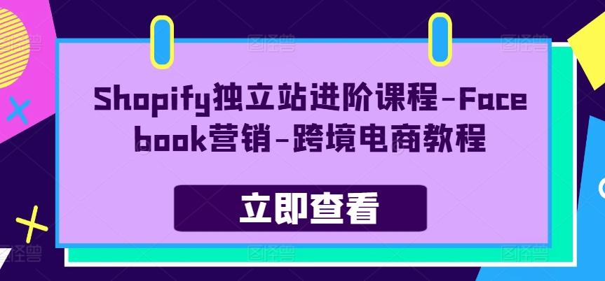 Shopify独立站进阶课程-Facebook营销-跨境电商教程-财兔窝项目网