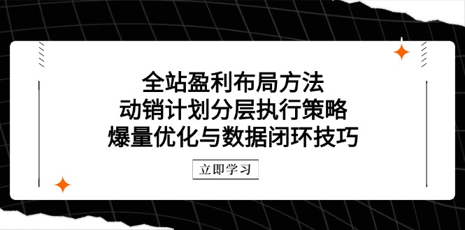 全站盈利布局方法：动销计划分层执行策略，爆量优化与数据闭环技巧-财兔窝项目网