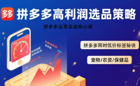 拼多多选品暴利技术实战课，拼多多高利润选品策略，拼多多限时低价标签秘诀-财兔窝项目网
