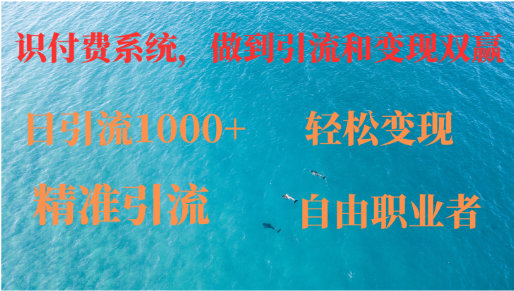 如何搭建自己的知识付费系统，做到引流和变现双赢-财兔窝项目网