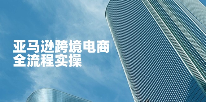 亚马逊跨境电商全流程实操，教你从零开始，掌握店铺运营与广告技巧-财兔窝项目网