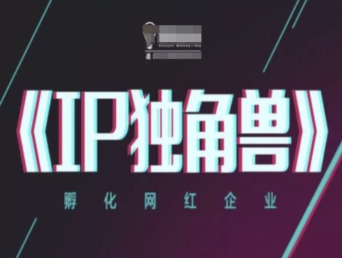 IP独角兽，孵化网红企业，ip教程-财兔窝项目网