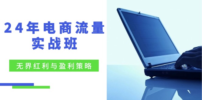 24年电商流量实战班：无界 红利与盈利策略，终极提升/关键词优化/精准…-财兔窝项目网
