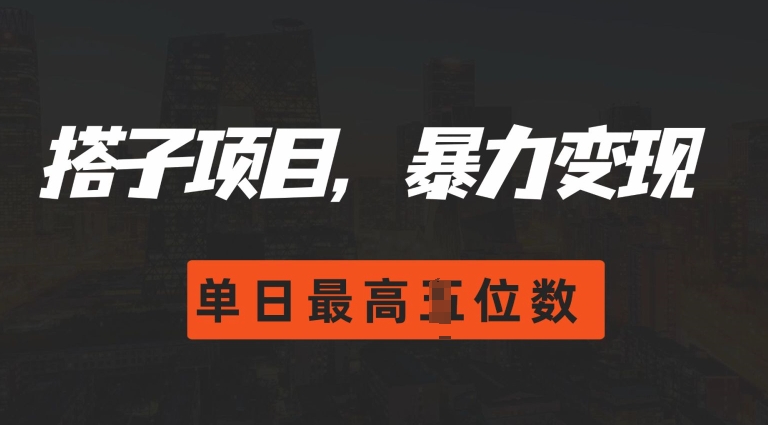2024搭子玩法，0门槛，暴力变现，单日最高破四位数【揭秘】-财兔窝项目网