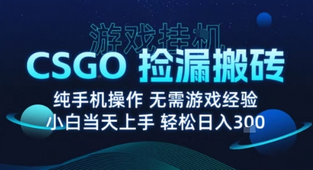 8月最新游戏搬砖，CSGO纯挂G，不需要玩游戏，实现真挂G，月入1W+【揭秘】-财兔窝项目网