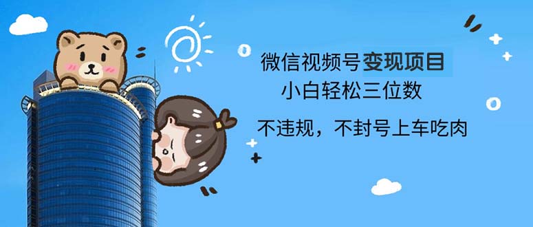 2024最新微信视频号变现项目，小白轻松月入四位数-财兔窝项目网