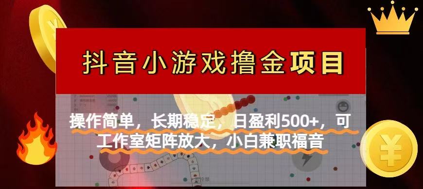 【抖音小游戏发行人计划项目】操作简单，长期稳定，日盈利500+，可工作…-财兔窝项目网