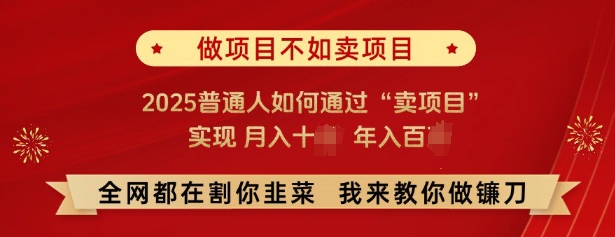 必看，做项目不如卖项目，2025普通人如何通过“卖项目”实现月入十个，年入百个-财兔窝项目网