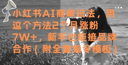 小红书AI商单玩法，用这个方法2个月涨粉7W+，新手也能接品牌合作(附全套指令模板)-财兔窝项目网