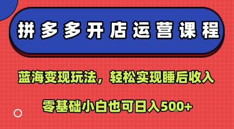 拼多多开店运营课程：蓝海变现玩法，轻松实现睡后收入，零基础小白也可日入5张-财兔窝项目网