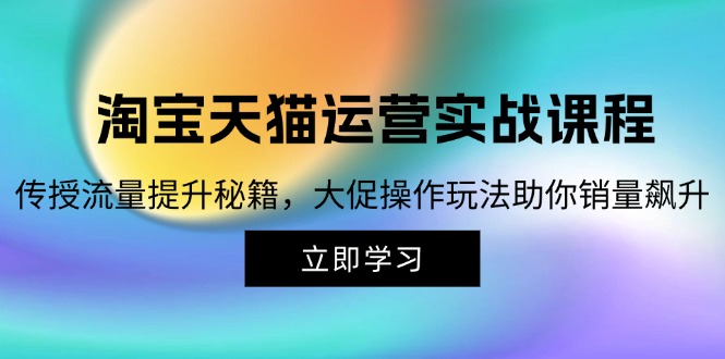 淘宝&天猫运营实战课程，传授流量提升秘籍，大促操作玩法助你销量飙升-财兔窝项目网
