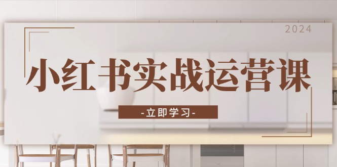 小红书实战运营课：从开通店铺到直播话术，打造爆款笔记与高效直播-财兔窝项目网