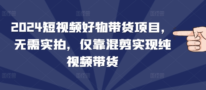 2024短视频好物带货项目，无需实拍，仅靠混剪实现纯视频带货-财兔窝项目网