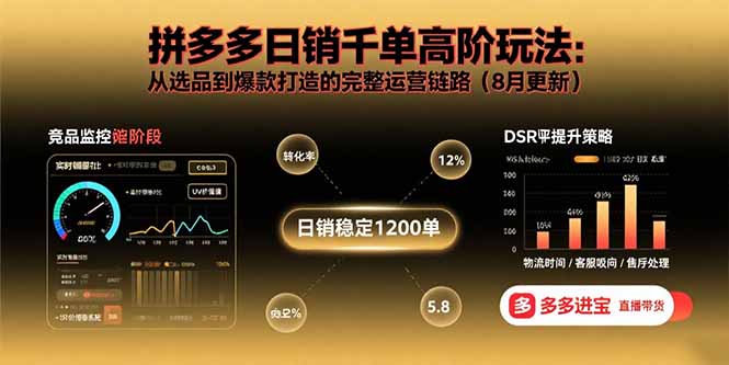 拼多多日销千单高阶玩法：从选品到爆款打造的完整运营链路(8月更新-财兔窝项目网