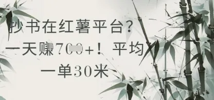 抄书在小红薯平台？平均一单30米，一天收益几张！-财兔窝项目网