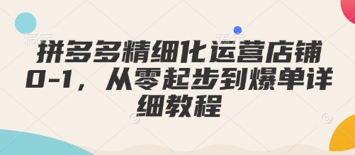 拼多多精细化运营店铺0-1，从零起步到爆单详细教程-财兔窝项目网