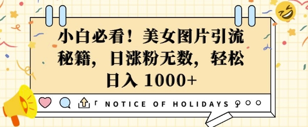 小白必看，美女图片引流秘籍，日涨粉无数，轻松日入几张【揭秘】-财兔窝项目网