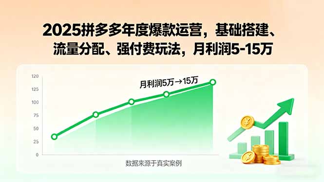 2025拼多多年度爆款运营，基础搭建、流量分配、强付费玩法，月利润5-15万-财兔窝项目网