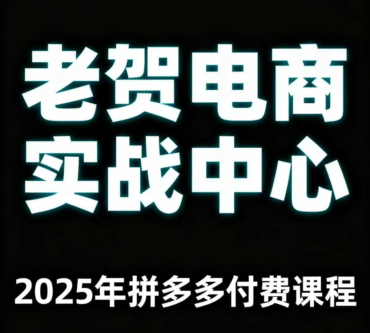老贺电商2025年拼多多付费课程，用通俗易懂的方法告诉你多多怎么玩-财兔窝项目网