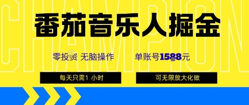 番茄音乐人掘金，单账号最高可撸1k+，可无限矩阵去做，零投入-财兔窝项目网